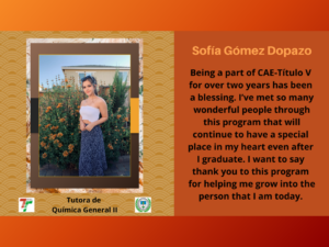 Imagen Reflexiones Tutores y Mentores CAETV Virtual #8