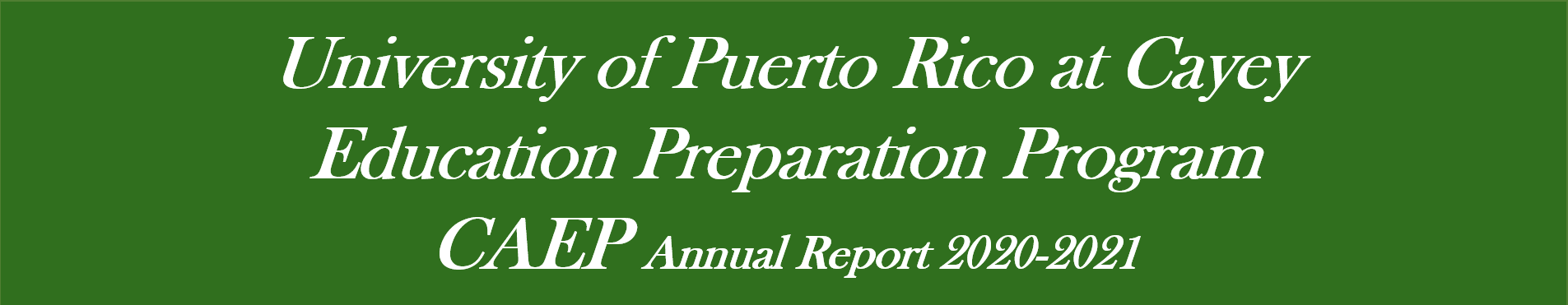 Imagen del Banner página de CAEP