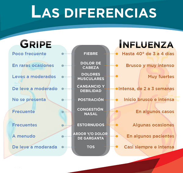 influenza Imagen representativa a las diferencias entre Gripe común e Influenza