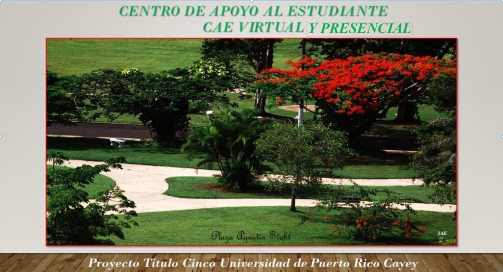 Arte CAE por José A. Estrada