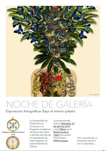 1era Noche de Galería