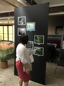 noche-de-galeria-1