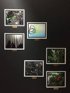 noche-de-galeria-5