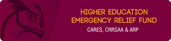 Botón para acceder página web del Higher Education Emergency Relief Fund.