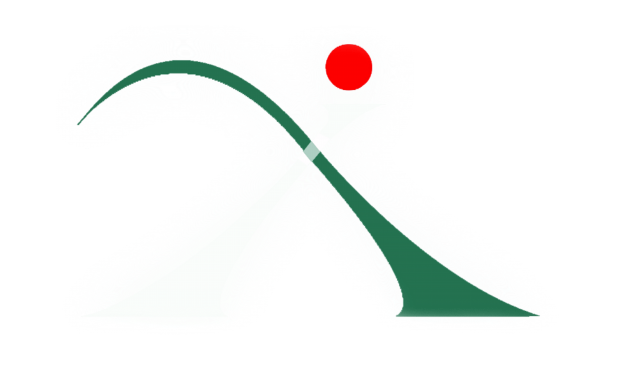 Imagen de una i blanca con el punto rojo, cruzada con una línea verde.