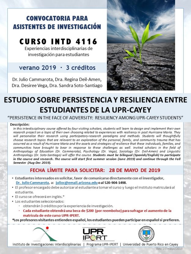 promo-curso_INTD4116-JCammarota_verano2019