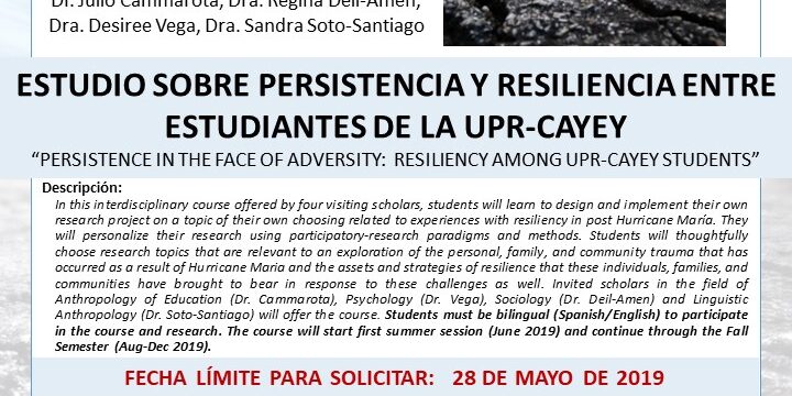 promo-curso_INTD4116-JCammarota_verano2019