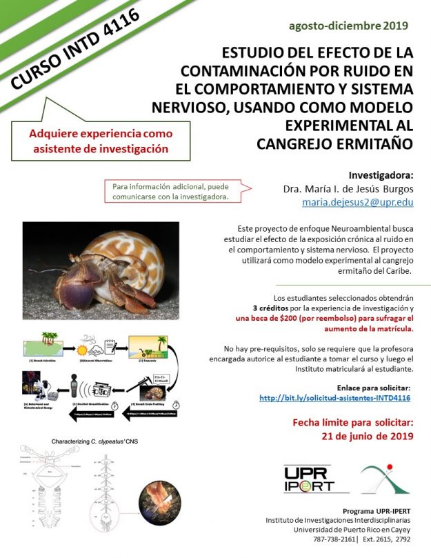promo-curso-INTD4116-MdeJesus-UPRIPERT