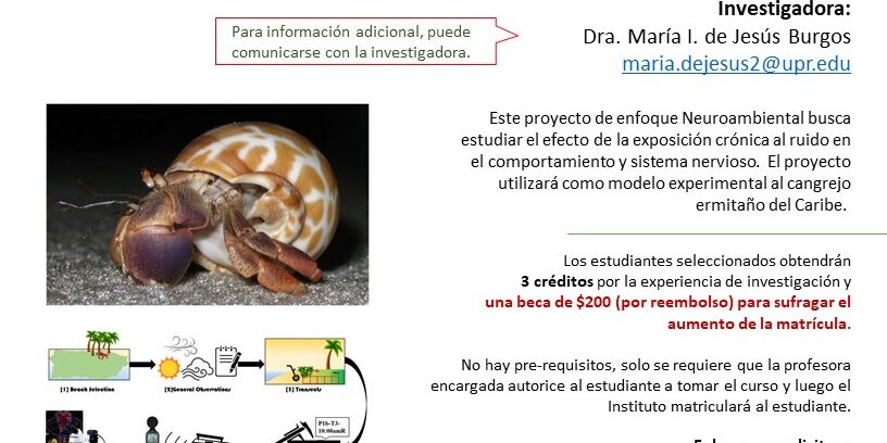 promo-curso-INTD4116-MdeJesus-UPRIPERT