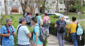Grupos de estudiantes caminando por un área verde del campus con mochilas, conversando entre clases.