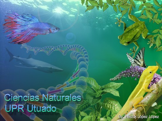 Imágen Ciencias Naturales UPR Utuado