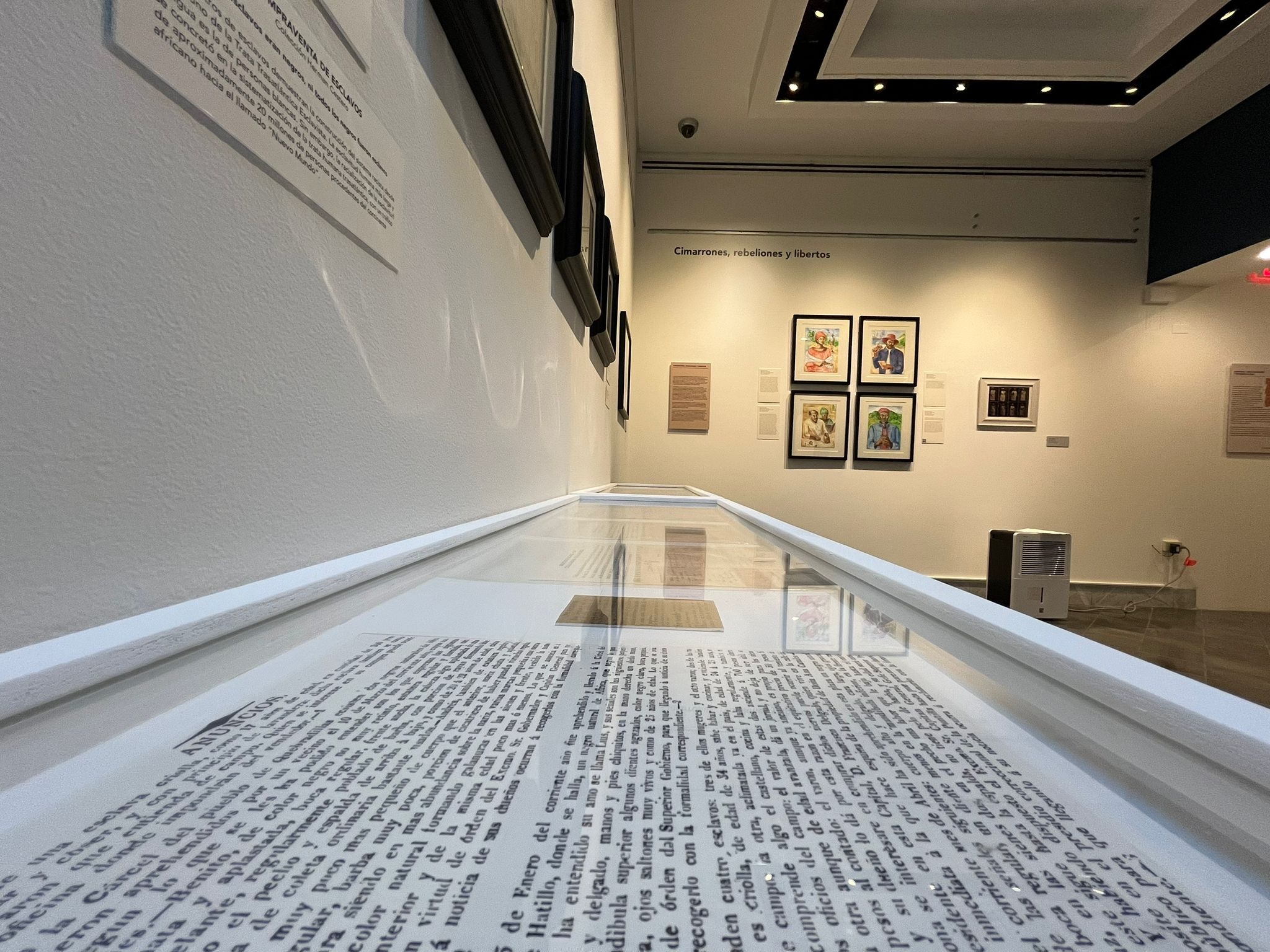 406077873_646094444402600_5720476816838533174_n En plano de perspectiva, abajo una vitrina con texto e imagenes. A la izquierda la pared con unos cuadros. De fondo bien a lo lejos se ve una pared con varios cuadros.