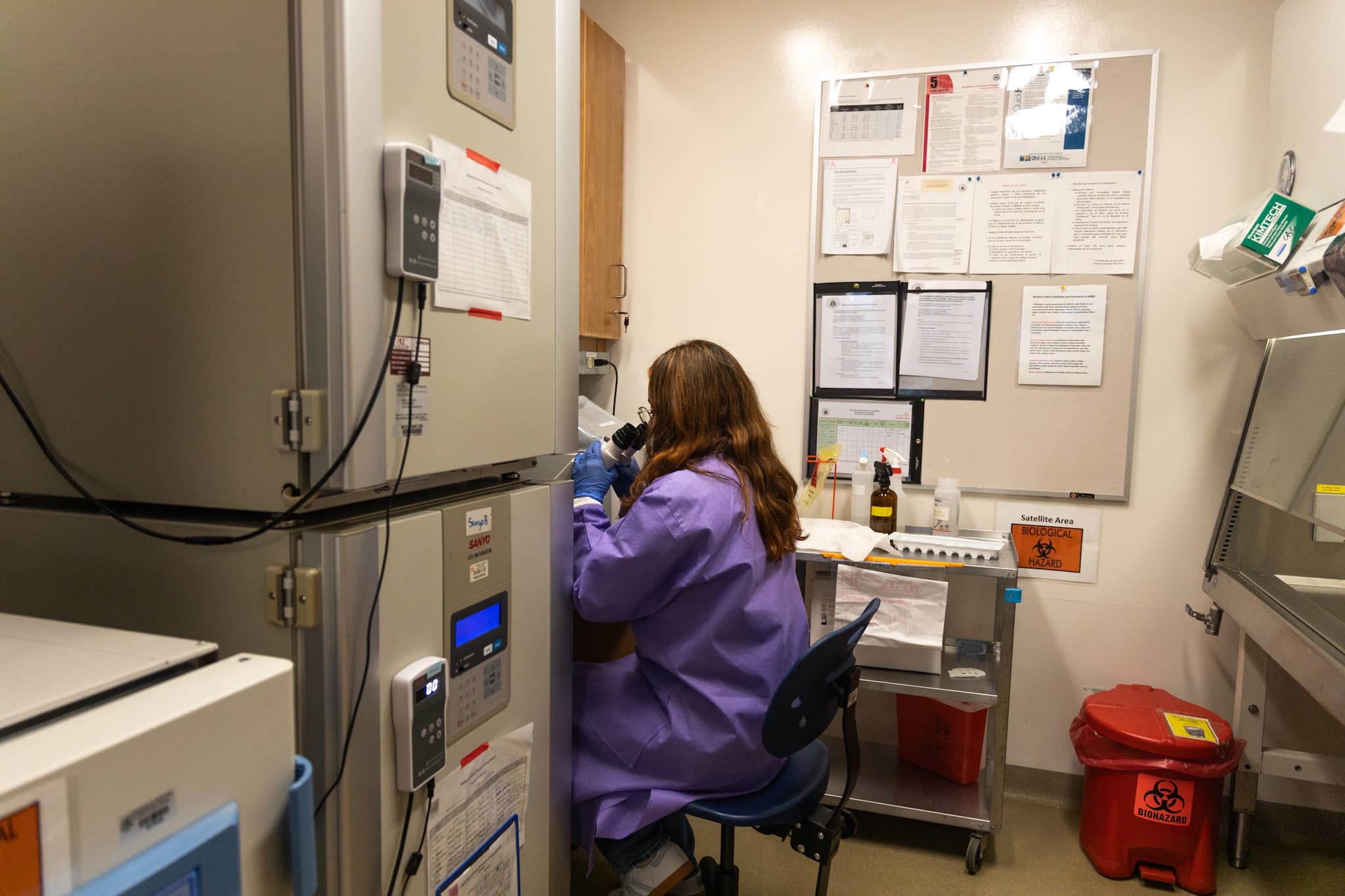 421687705_920177679669693_3003912228567116455_n