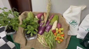 Varias frutas y vegetales como berenjenas, ají dulce, quimbombo, papaya, batata entre otros.