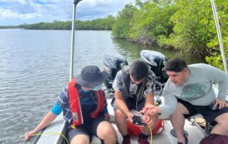 Estudio pionero de la UPR Ponce revela que los manglares reducen el ruido creado por actividades humanas