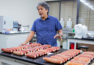 Crean el Laboratorio de Etnoecología y Paleoambientes Humanos en el Recinto de Río Piedras de la UPR