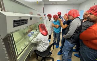 RUM lidera iniciativa para mejorar la producción de ñame en Puerto Rico