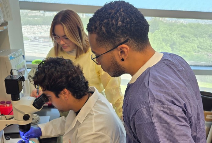 Ciencia sin fronteras: Estudiantes investigadores del Centro Molecular-UPR brillan en prestigiosos laboratorios y universidades de los EE. UU.