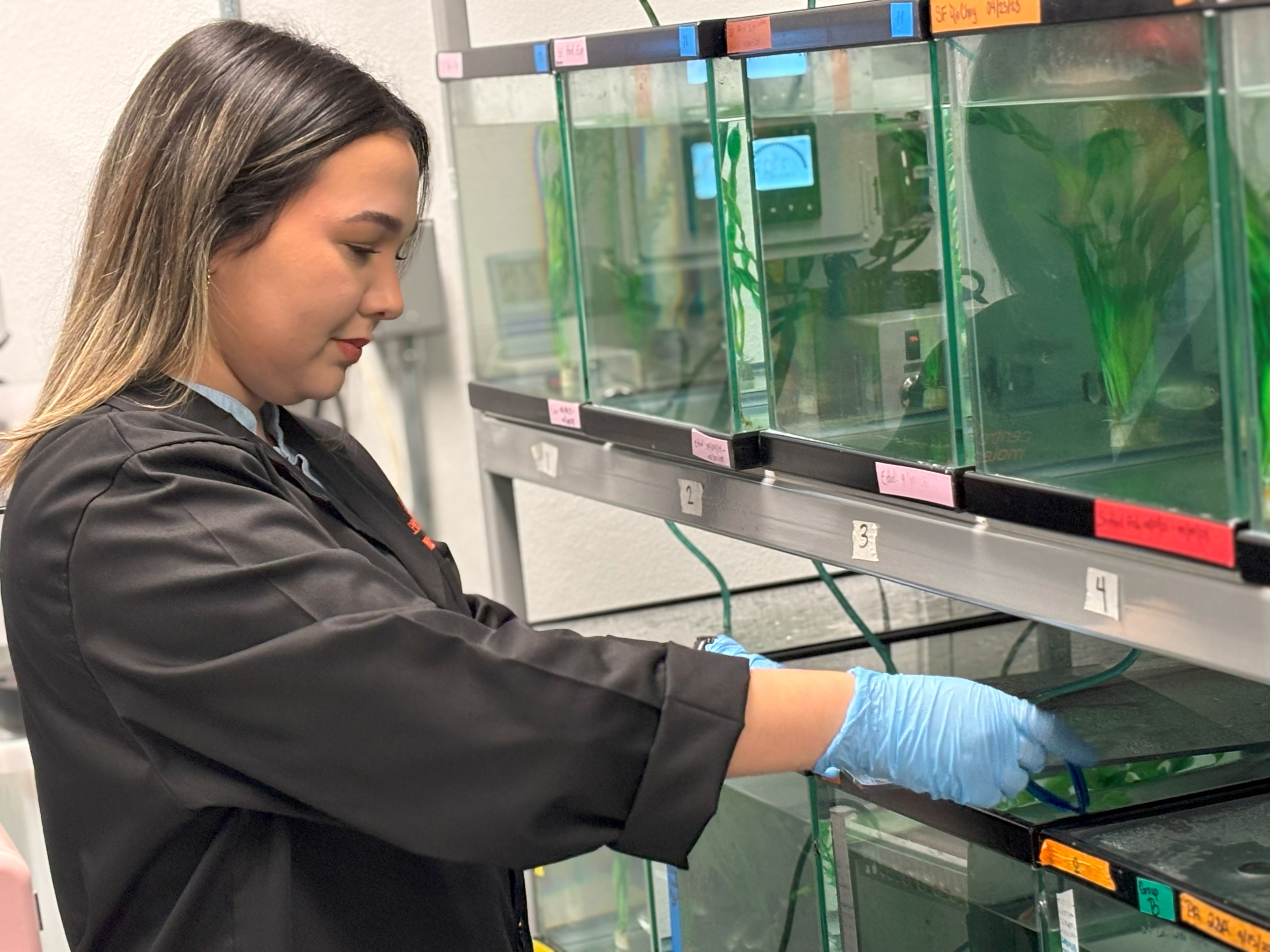 Alana del Coral Lopez Cruz distinguida estudiante graduada e investigadora en el Centro Molecular UPR Alana del Coral Lopez Cruz distinguida estudiante graduada e investigadora en el Centro Molecular UPR