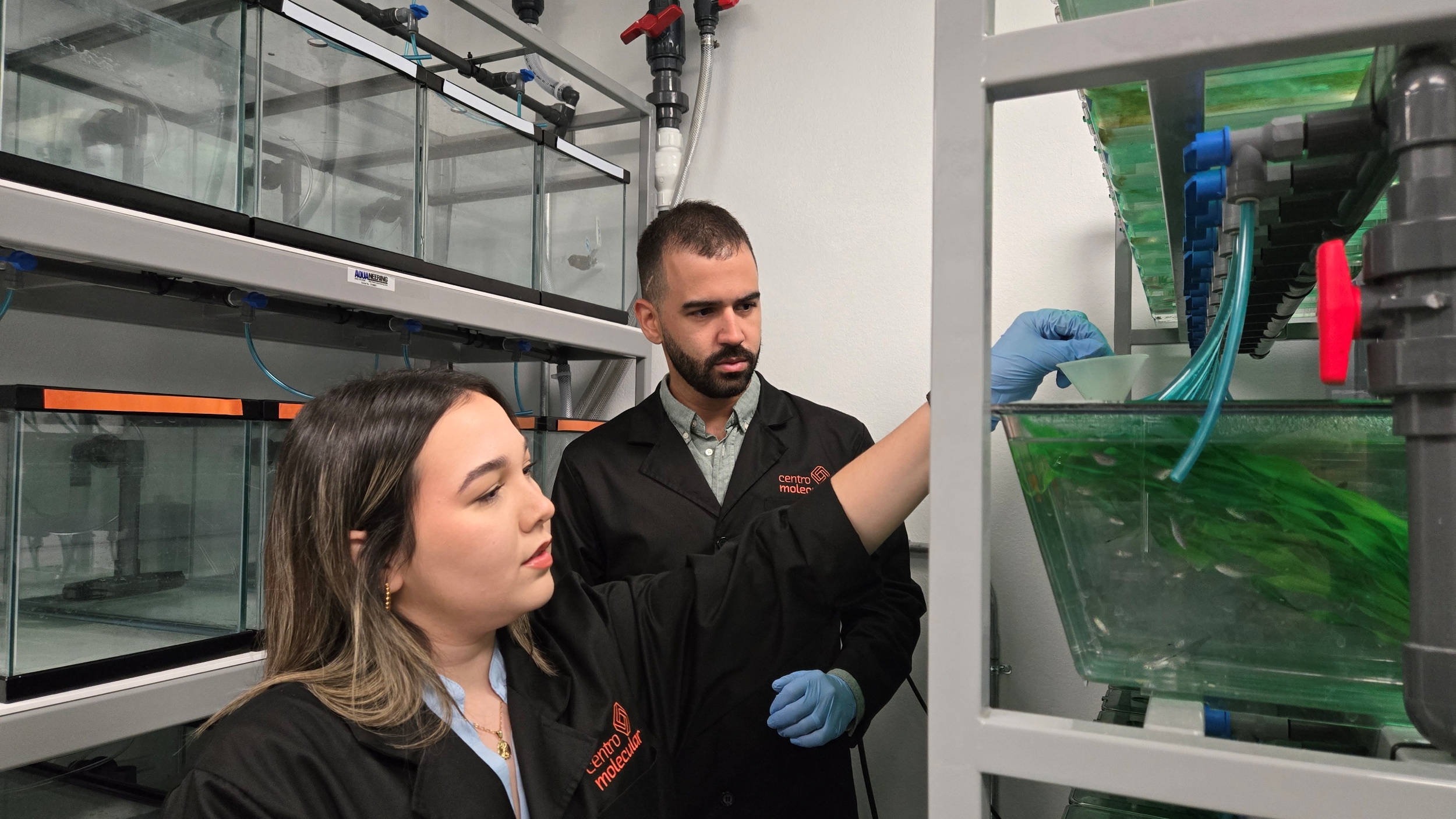 La estudiante distinguida Alana Lopez con su mentor Dr Roberto Rodriguez en el laboratorio Behavioral Evolution Centro Molecular UPR La estudiante distinguida Alana Lopez con su mentor Dr Roberto Rodriguez en el laboratorio Behavioral Evolution Centro Molecular UPR