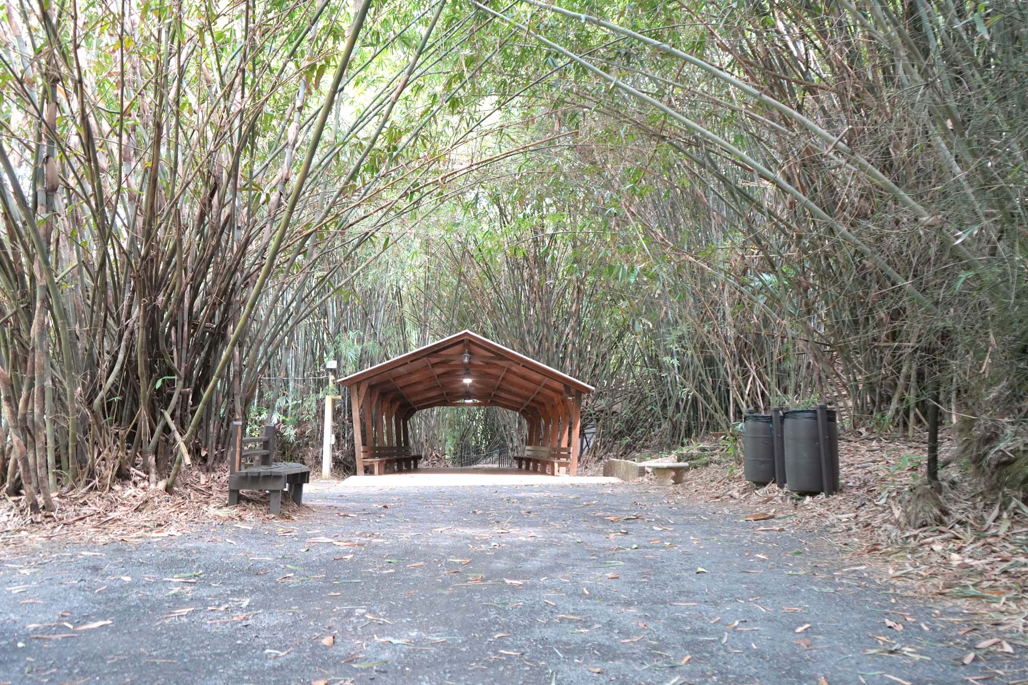 03-Capilla de los Bambúes Foto de Capilla de los bambúes