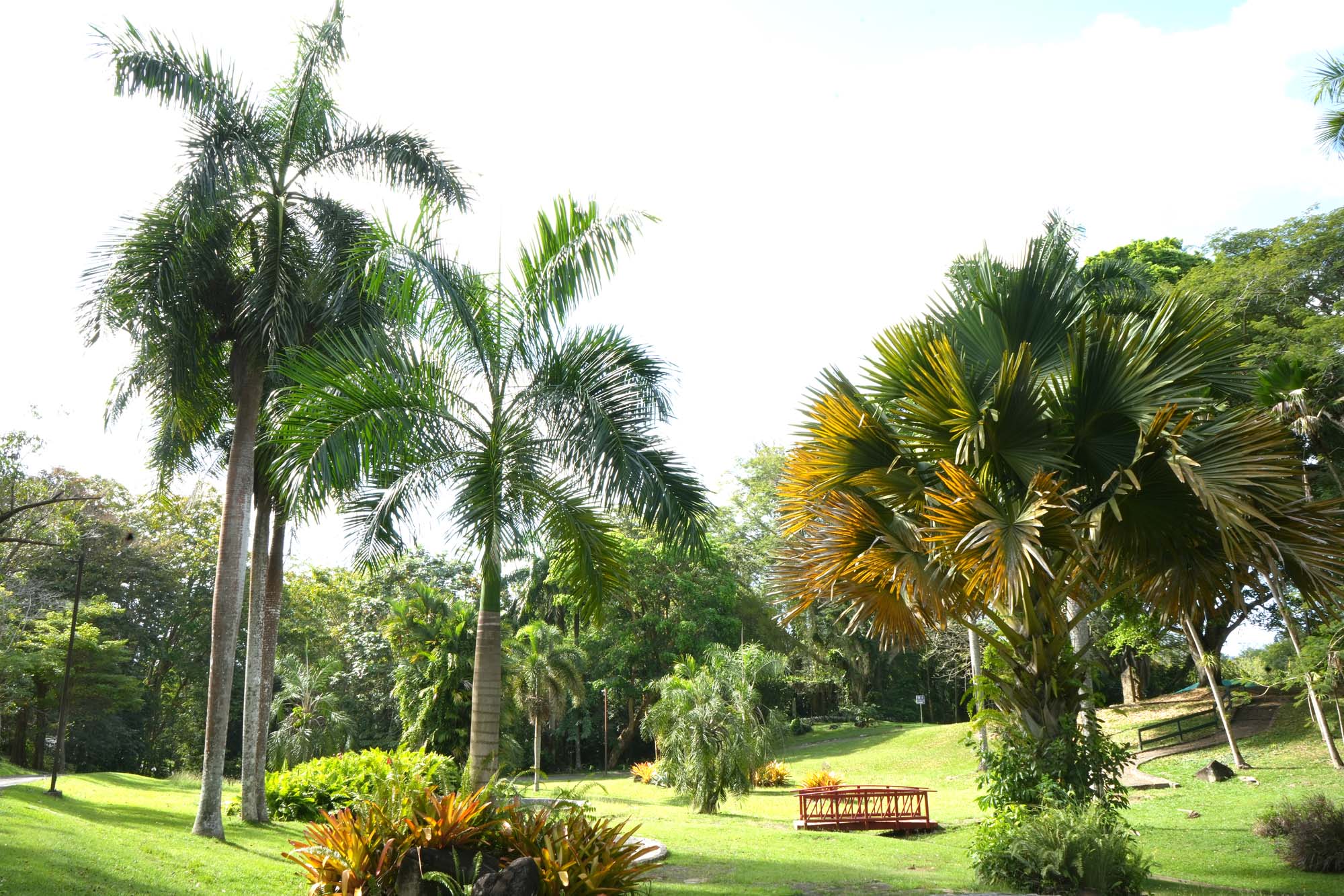 05-Jardin de la Fuentes Ornamentales Foto del Jardín de las Fuentes Ornamentales