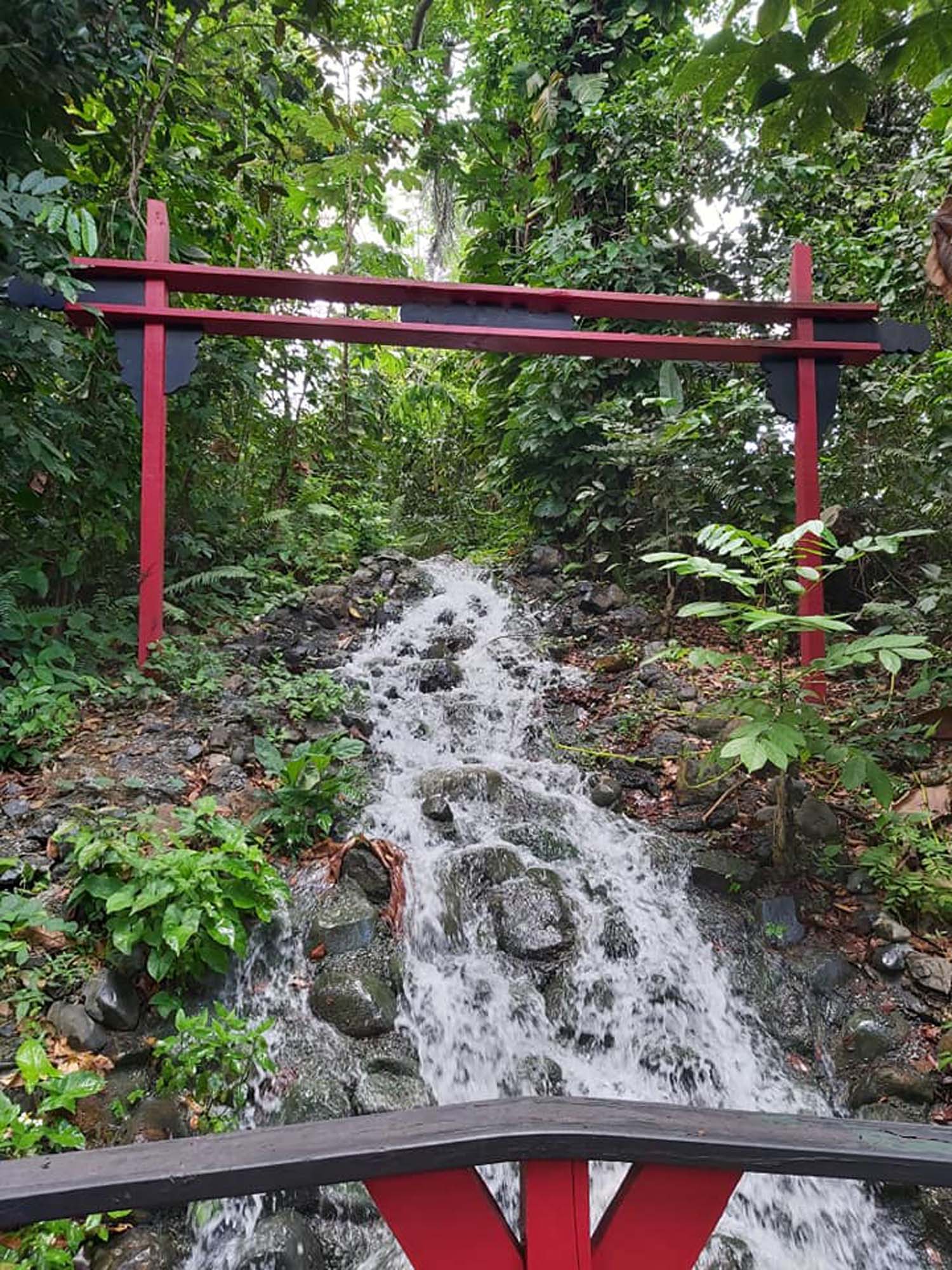 07-Jardin Oriental 2 Foto del Jardín Oriental 2