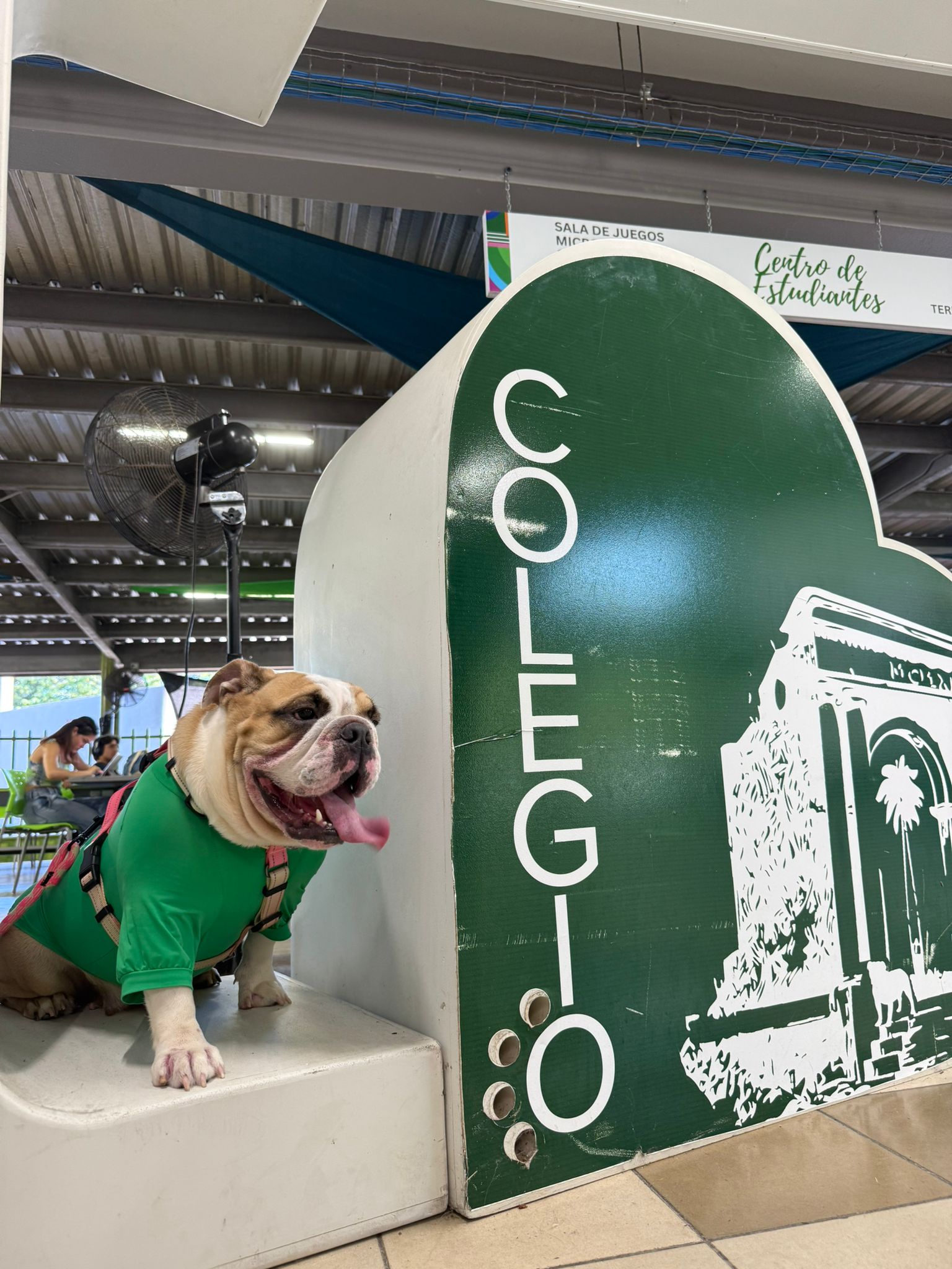 Jane Mascota Jane junto a logo del Colegio