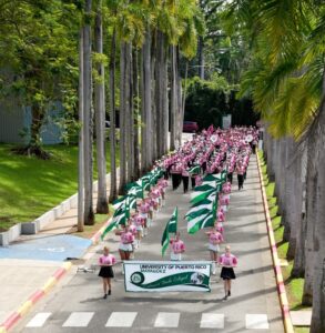 Vista aerea de la banda y abanderadas alineados en la calle.