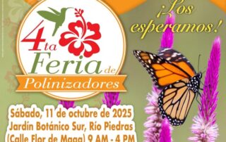 Cuarta Edición de la Feria de Polinizadores
