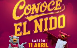 Conoce el Nido: una invitación a descubrir la experiencia universitaria en la UPR en Humacao