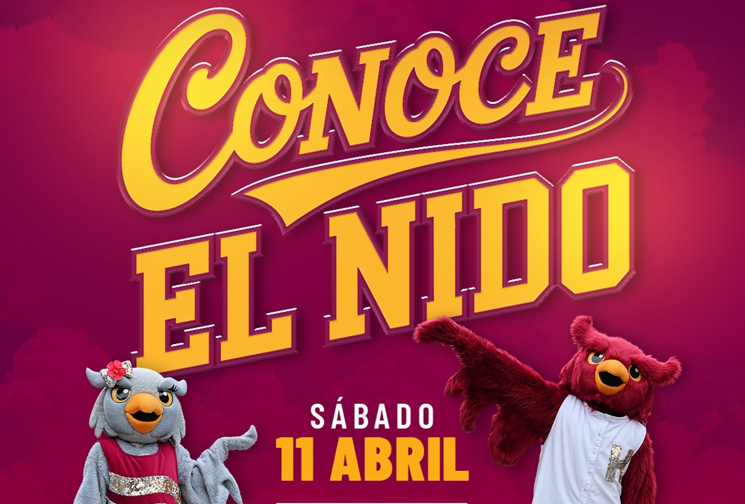 Conoce el Nido: una invitación a descubrir la experiencia universitaria en la UPR en Humacao