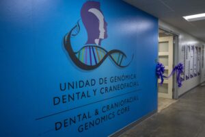 Mural en fondo azul obscuro en la entrada de la Unidad de Genómica Dental y Craneofacial.  El mural tiene 3 cabezas solapadas en diferentes tonos de violeta.  Debajo de las cabezas está la representación de un trozo de la doble elice de la DNA, Al final, una cinta violeta con lazos cruza la entrada de la puerta.
