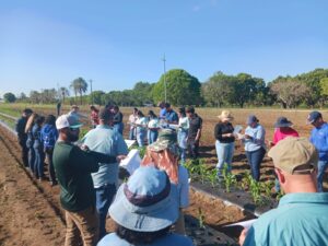Estudiantes en el campo observando la plantación.