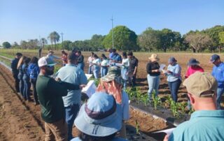 Clínica de Diagnóstico de Plantas de la EEA de Juana Díaz obtiene acreditación del NPDN