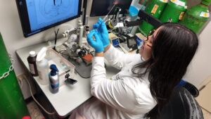 Investigadora en mesa de trabajo en el laboratorio.