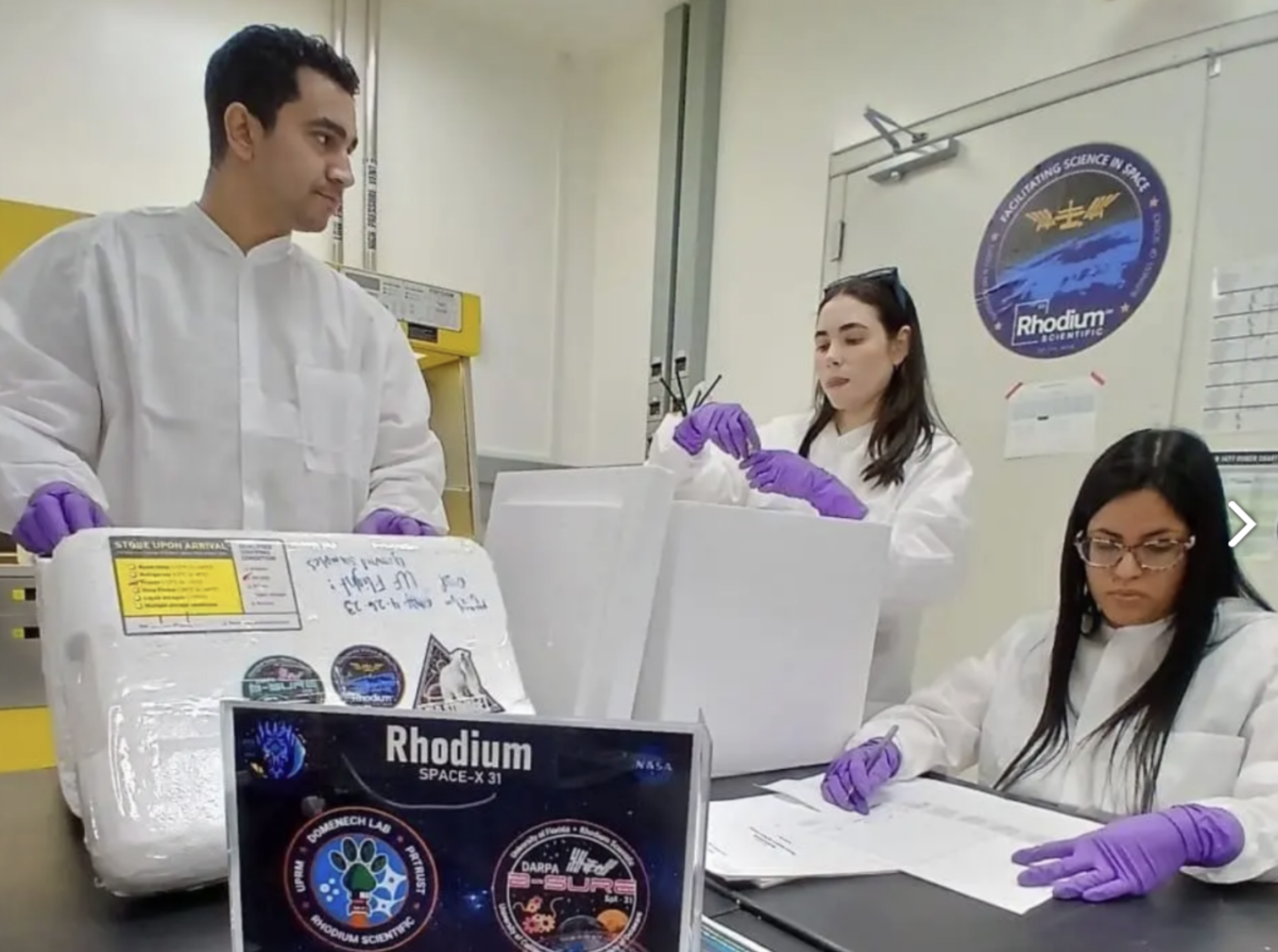 En el laboratorio del Centro Espacial Kennedy, el 3 de noviembre de 2024, se prepararon las muestras junto con el equipo de Rhodium Scientific para su traslado a bordo del SPX-CRS 31. Desde la izquierda, los estudiantes doctorales de bioingeniería, Leonel Velez, Carolina Rivera, y la doctora Maribella Domenech del Departamento de Ingeniería Química. Suministrada